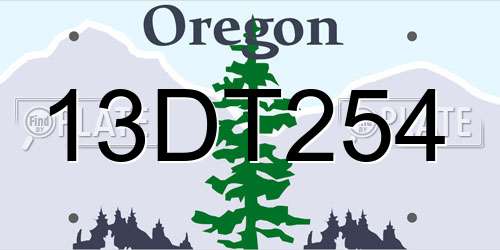 13DT254 Oregon License Plate