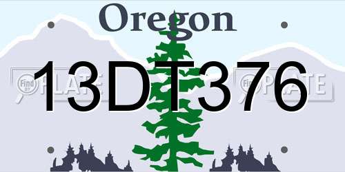 13DT376 Oregon License Plate