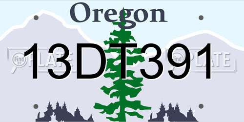 13DT391 Oregon License Plate