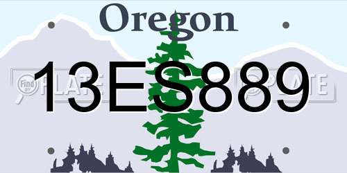 13ES889 Oregon License Plate
