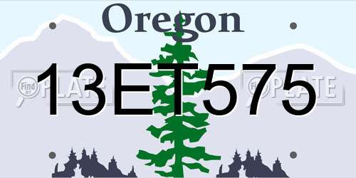 13ET575 Oregon License Plate