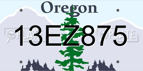13EZ875 Oregon License Plate