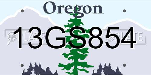 13GS854 Oregon License Plate