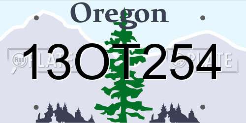 13OT254 Oregon License Plate