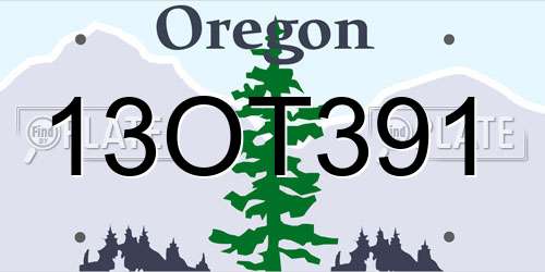 13OT391 Oregon License Plate