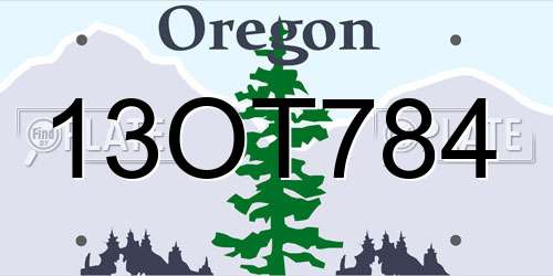 13OT784 Oregon License Plate