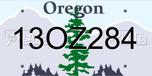 13OZ284 Oregon License Plate