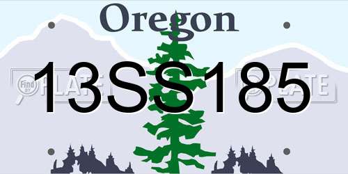 13SS185 Oregon License Plate