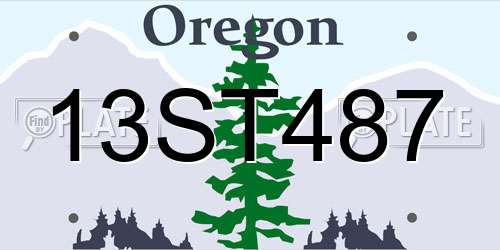 13ST487 Oregon License Plate