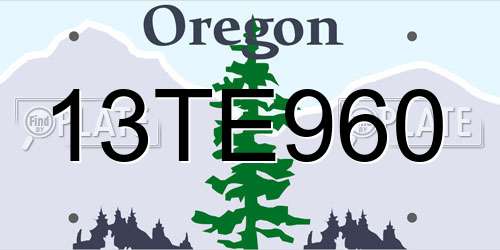 13TE960 Oregon License Plate