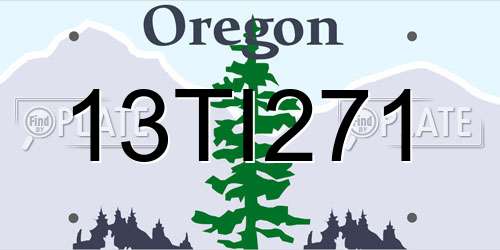 13TI271 Oregon License Plate