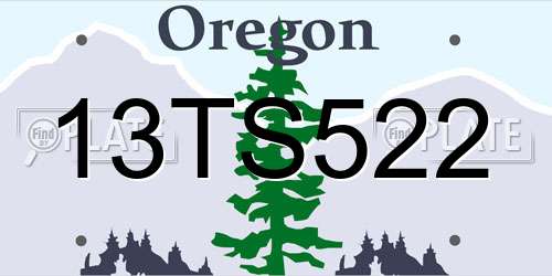 13TS522 Oregon License Plate