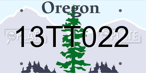 13TT022 Oregon License Plate