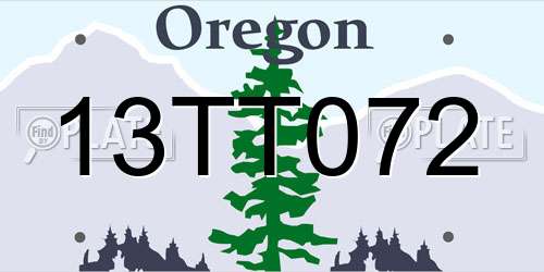 13TT072 Oregon License Plate