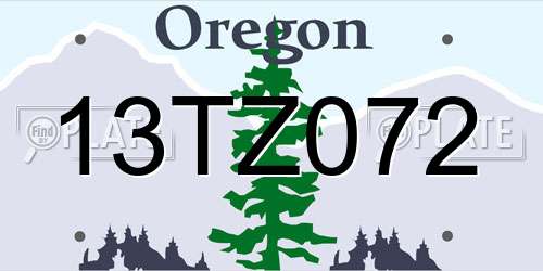 13TZ072 Oregon License Plate