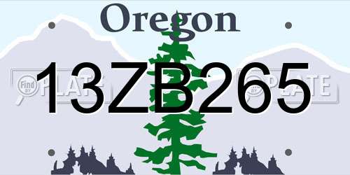 13ZB265 Oregon License Plate