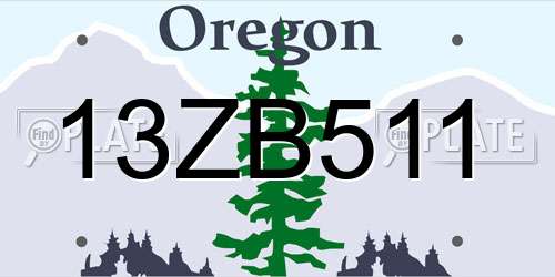 13ZB511 Oregon License Plate