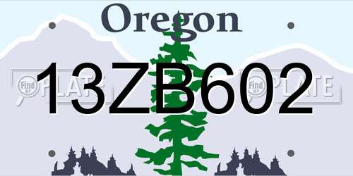 13ZB602 Oregon License Plate