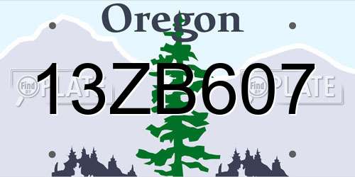 13ZB607 Oregon License Plate