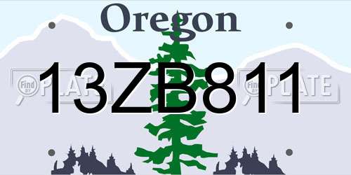 13ZB811 Oregon License Plate