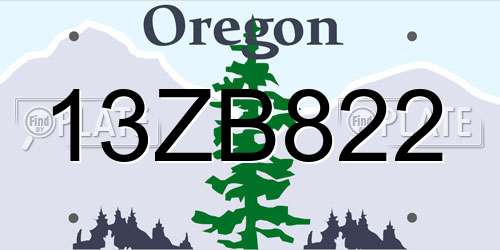 13ZB822 Oregon License Plate