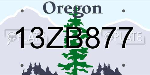 13ZB877 Oregon License Plate