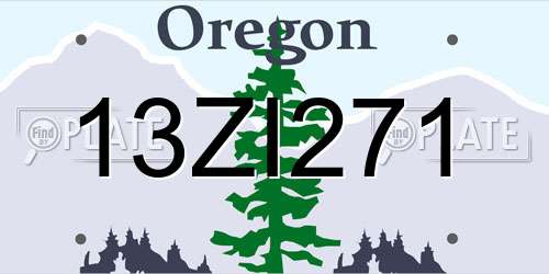 13ZI271 Oregon License Plate