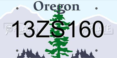 13ZS160 Oregon License Plate
