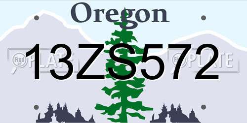 13ZS572 Oregon License Plate