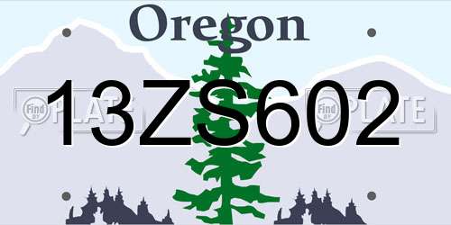 13ZS602 Oregon License Plate