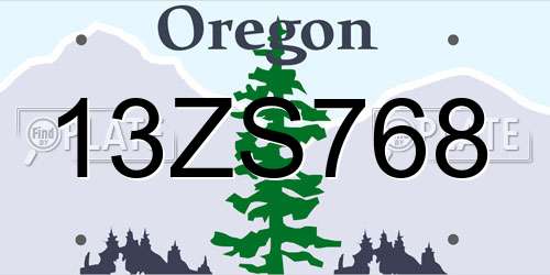 13ZS768 Oregon License Plate
