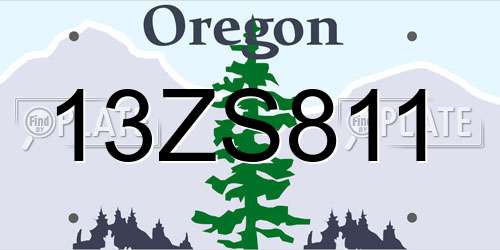 13ZS811 Oregon License Plate