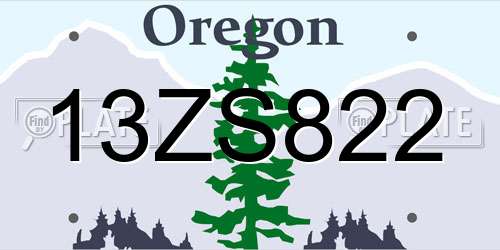 13ZS822 Oregon License Plate