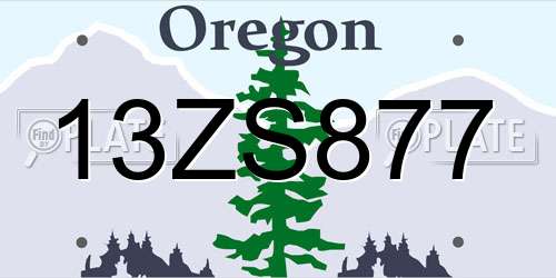 13ZS877 Oregon License Plate
