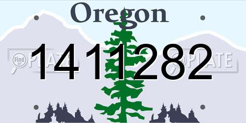 1411282 Oregon License Plate