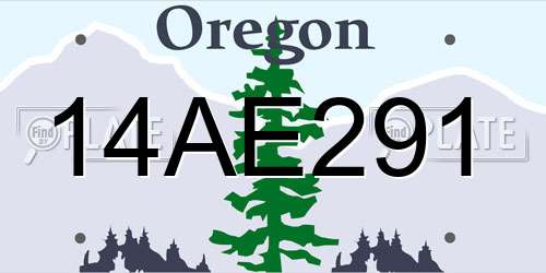 14AE291 Oregon License Plate