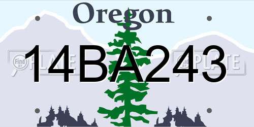 14BA243 Oregon License Plate