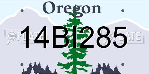 14BI285 Oregon License Plate