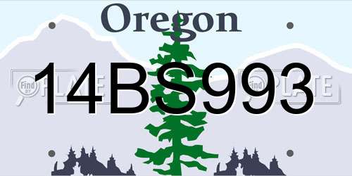 14BS993 Oregon License Plate