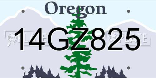 14GZ825 Oregon License Plate