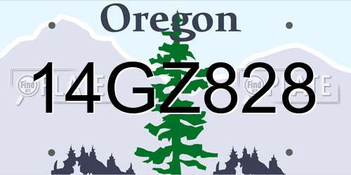 14GZ828 Oregon License Plate