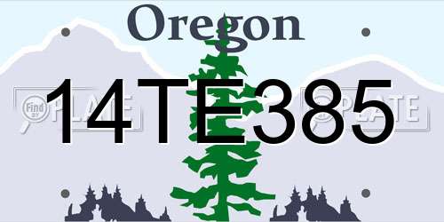 14TE385 Oregon License Plate