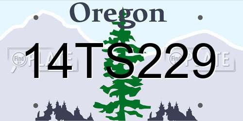 14TS229 Oregon License Plate