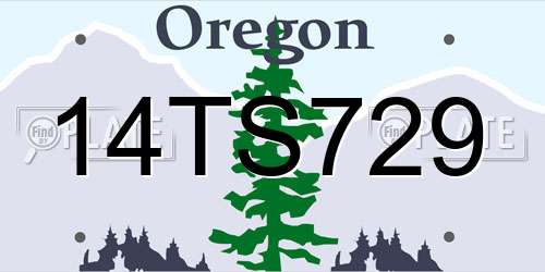 14TS729 Oregon License Plate