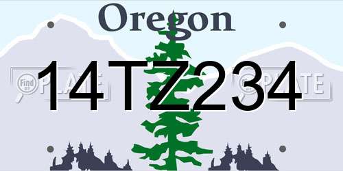 14TZ234 Oregon License Plate