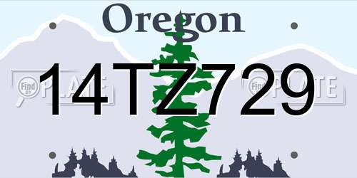 14TZ729 Oregon License Plate