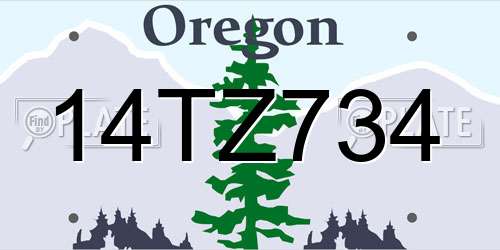 14TZ734 Oregon License Plate
