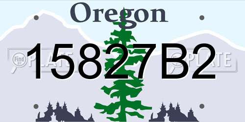 15827B2 Oregon License Plate