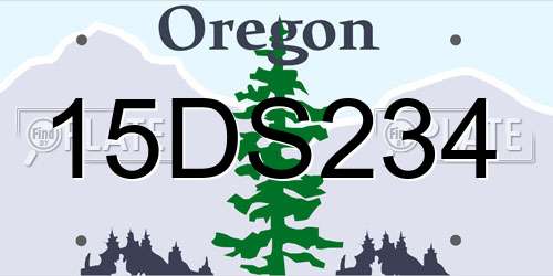 15DS234 Oregon License Plate