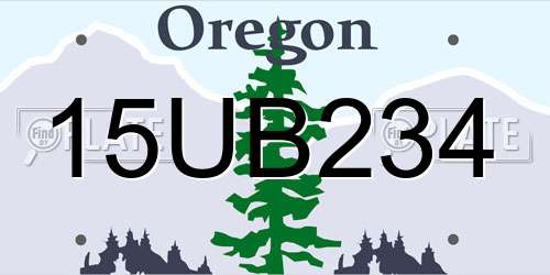 15UB234 Oregon License Plate